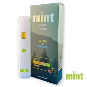 MINT Sweet Watermelon 1100mg THC Disposable Vape Pen