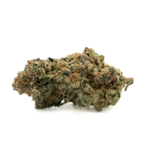 El Muerte (AAAA)