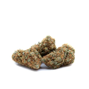 Red Congolese LSO (AAAA)