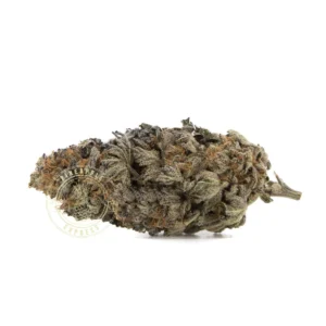 Blue Lemon Thai (AAA) OZ Special