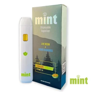 MINT Cannalope 1100mg THC Disposable Vape Pen