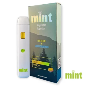 MINT Dosidos 1100mg THC Disposable Vape Pen