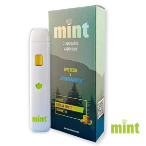 MINT Greasy Runtz 1100mg THC Disposable Vape Pen