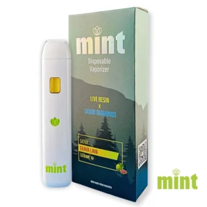 MINT Guava Lava 1100mg THC Disposable Vape Pen