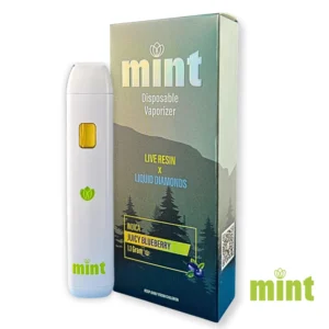 MINT Juicy Blueberry 1100mg THC Disposable Vape Pen