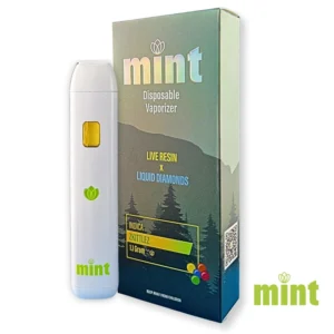 MINT Zkittlez 1100mg THC Disposable Vape Pen