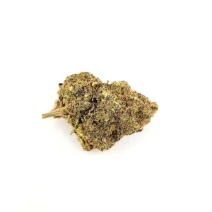 Einstein's Pipe (AAA+)