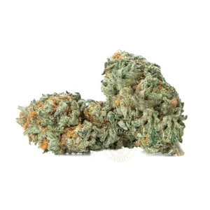 Nuken (AAA)
