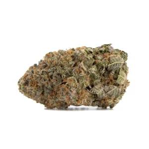 Gelato (AAA)