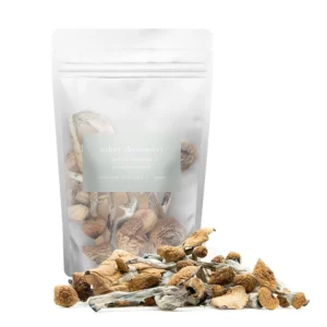 Golden Teacher (P. Cubensis)
