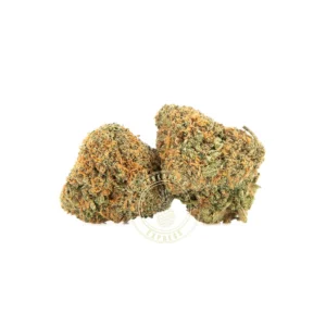 Grape Limeade (AA+) OZ Special