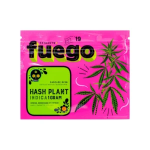 Fuego Shatters - Hash Plant (indica)