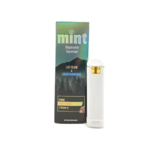 MINT Fruit Punch 1100mg THC Disposable Vape Pen
