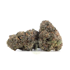 Purple Kush (AAA+)