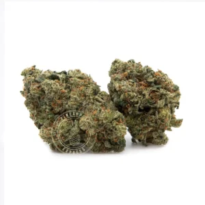 Sour Tropicana (AA) OZ Special